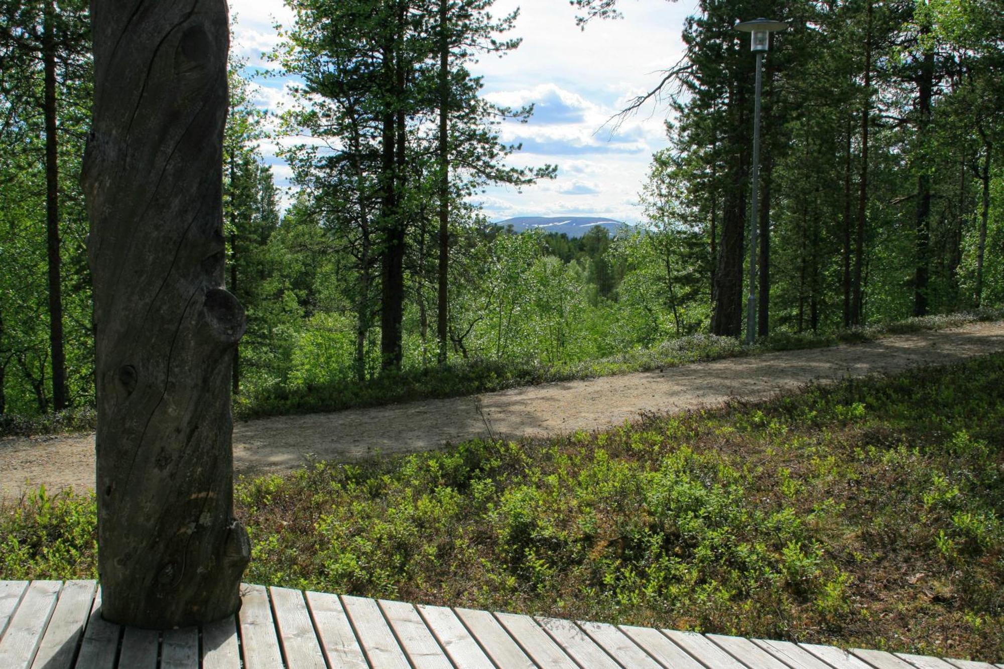 Vila Paltto Elaemysretket Lemmenjoki Pokoj fotografie