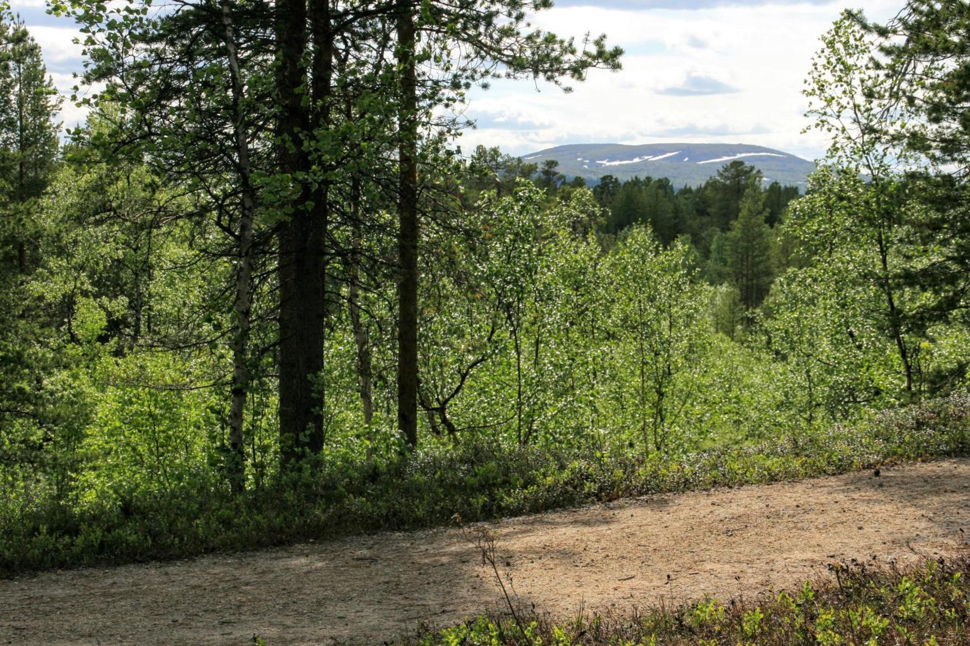 Vila Paltto Elaemysretket Lemmenjoki Pokoj fotografie