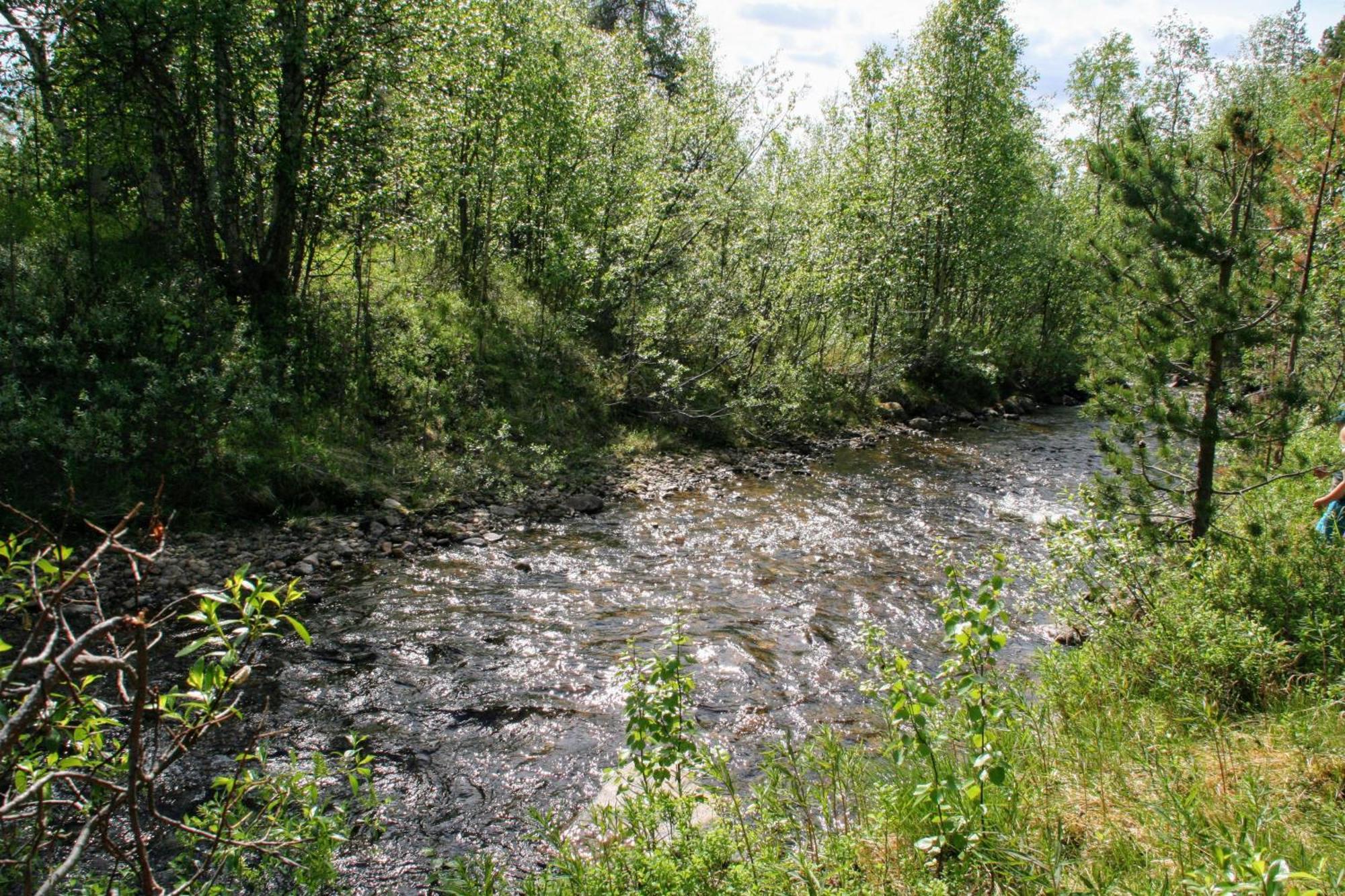 Vila Paltto Elaemysretket Lemmenjoki Pokoj fotografie