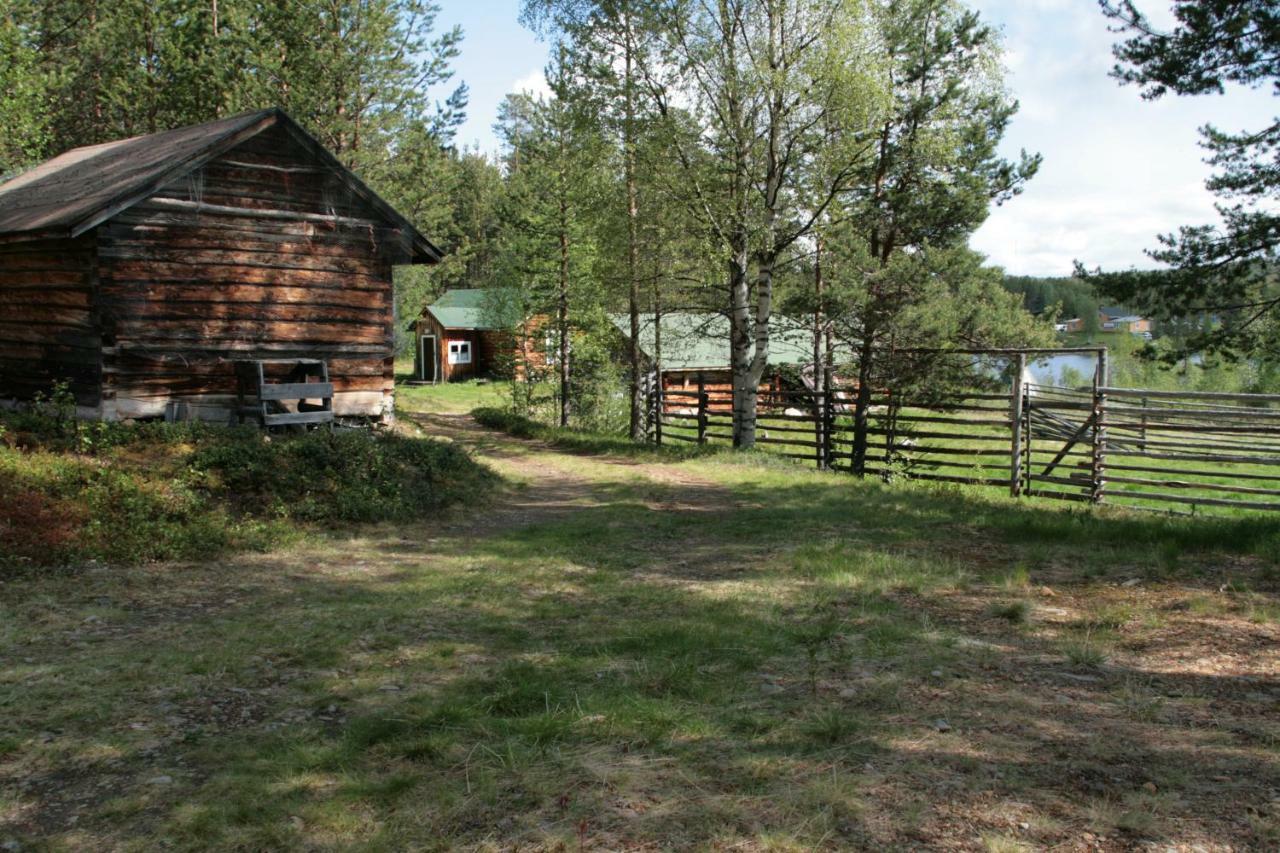 Vila Paltto Elaemysretket Lemmenjoki Exteriér fotografie